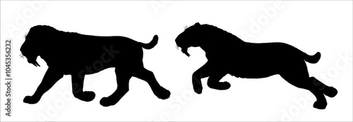 Valokuva Saber tooth cat