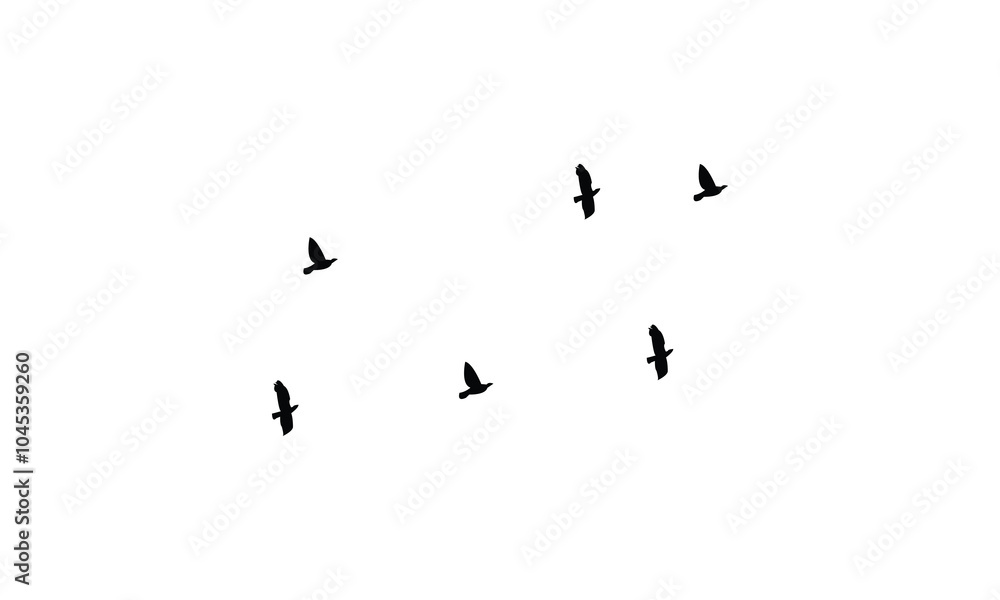 Flying birds silhouettes And Vector illustration.
Flying birds silhouettes And Vector illustration.