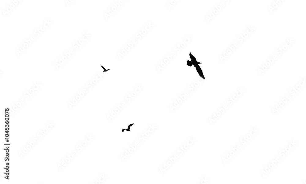 Fototapeta premium Flying birds silhouettes And Vector illustration. 