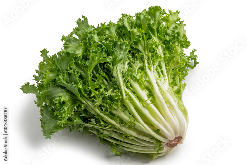 Tableau sur toile Head of escarole salad