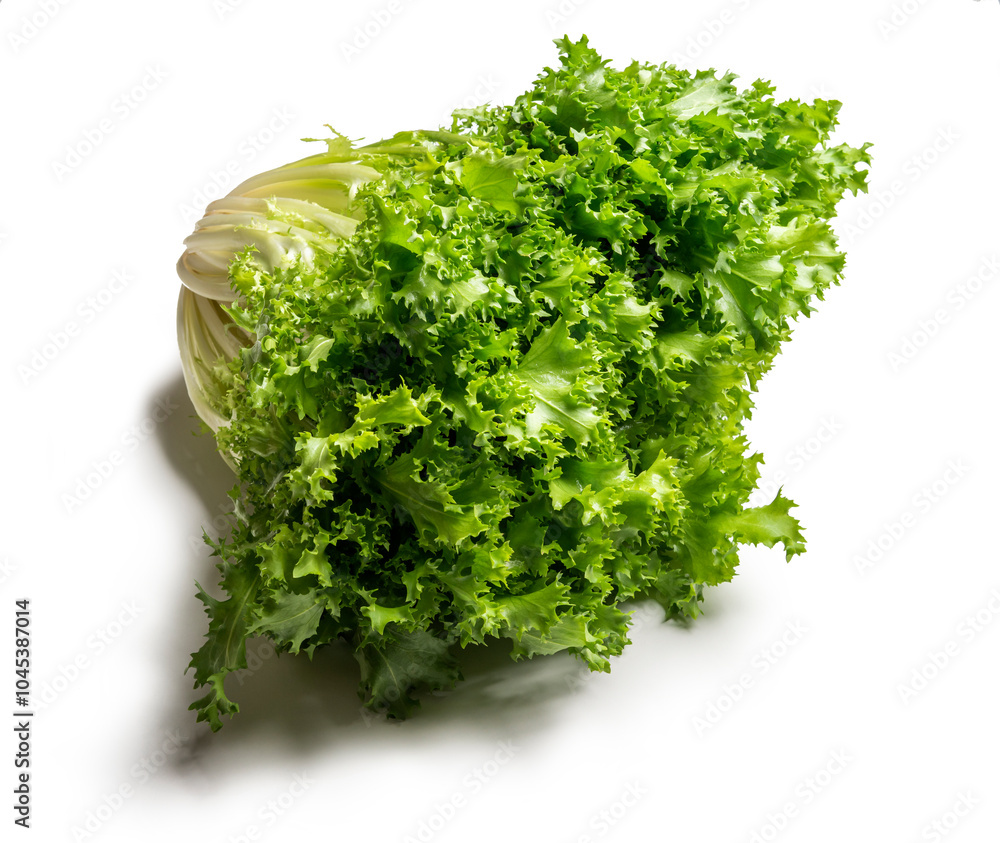 Obraz premium Head of escarole salad