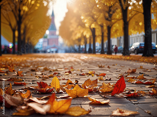 autumn in the park