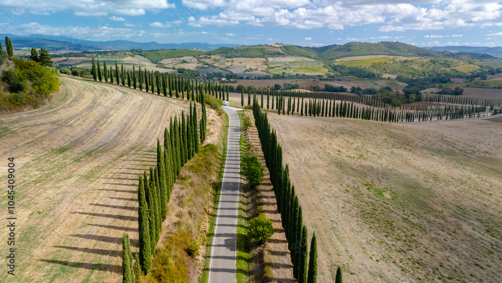 Fototapeta premium Serene cypress-lined road meandering through the rolling hills of Tuscany under a blue sky