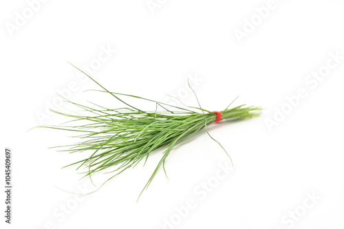 GREENGRASS OR DURBA GRASS ON ISOLATED WHITE BACKGROUND. SELECTIVE FOCUS ON OBJECT. photo