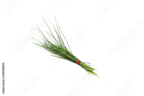 CLOSE VIEW OF GREEN DURBA GRASS ON ISOLATED WHITE BACKGROUND WITH SELECTIVE FOCUS. photo