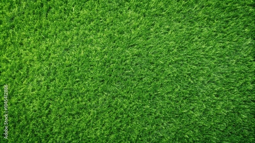 Wallpaper Mural Green grass mat texture background Torontodigital.ca