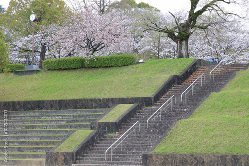 春の公園