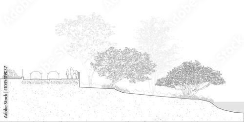 Architectural Drawings, Minimal style cad tree line drawing, Side view, set of section wetland forest outline for landscape design drawing. Vector illustration in seperate element