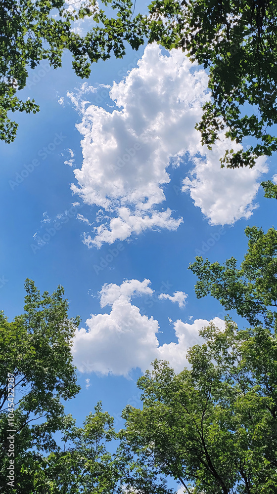 Fototapeta premium Beautiful sky with clouds 
