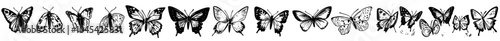 A collection of hand drawn grunge butterflies. Vintage illustration. Modern illustrations.