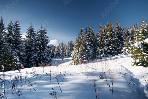 Winter landscape. Snow landscape on winter mountains. Carpathian Mountains, Ukraine