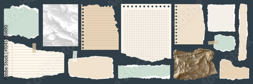 Paper shapes with jagged uneven edges. Torn, crumpled paper, shreds of notebook pages. Torn paper pieces set. Ripped fragments for message label, banner, collage, text box, sticker, poster