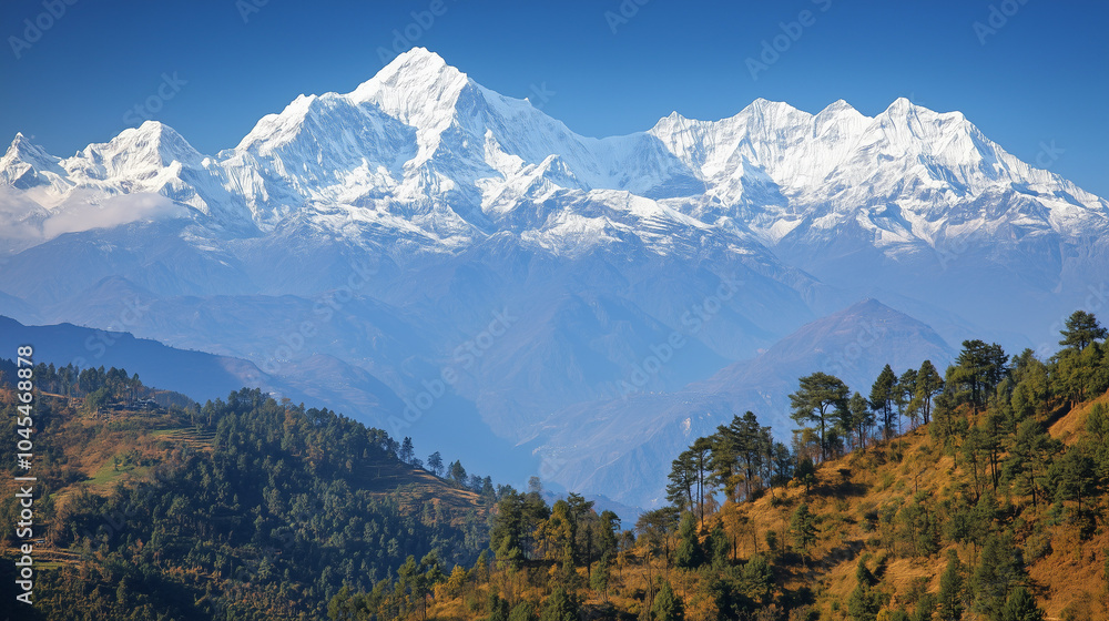 Snow capped peaks of the Himalayas with lush green hills in the foreground under a clear blue sky Snow capped peaks of the Himalayas with lush green hills in the foreground under a clear blue sky