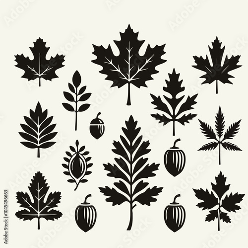 Vector set of decorative maple oak autumn leaf silhouettes