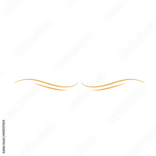 Elegant gold divider thin line
