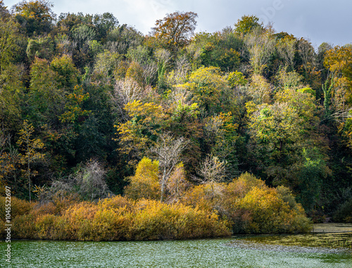 Swanbourne Lake, West Sussex with beautiful autumn colours in the surrounding woodland.