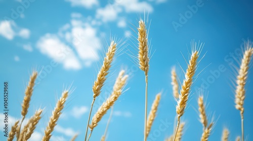 Golden wheat sways gently under a bright blue sky, showcasing a perfect harvest and the beauty of nature's bounty.