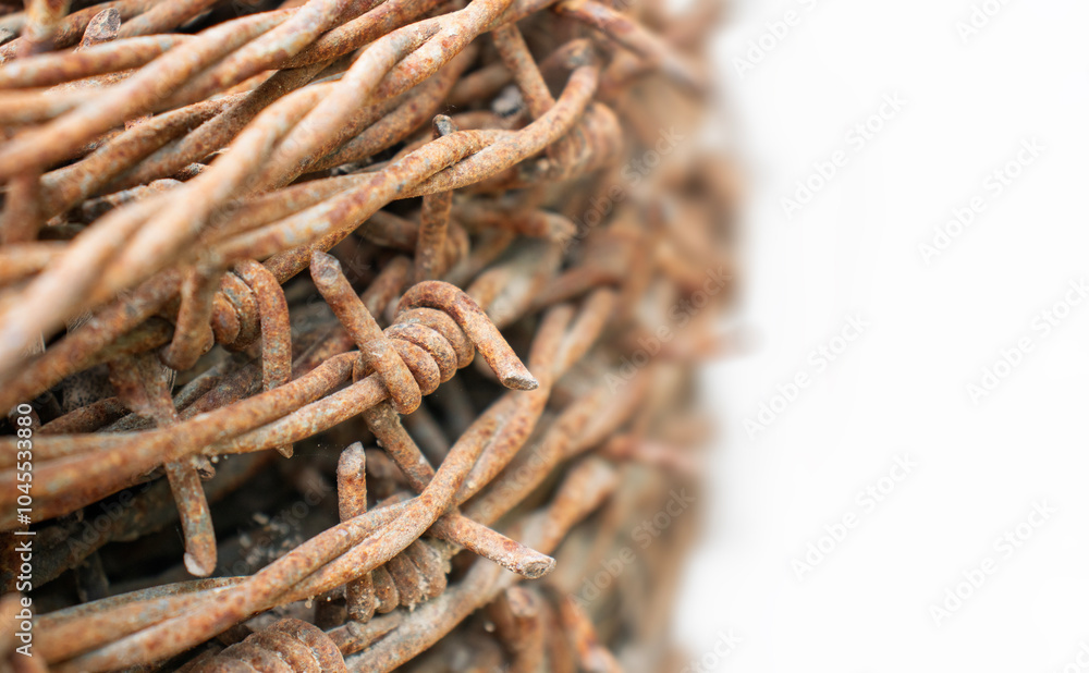 Close-up of rusty barbed wire on a light background Close-up of rusty barbed wire on a light background