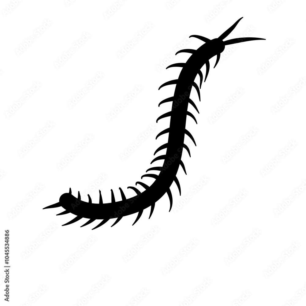 Obraz premium Centipede silhouettes vector