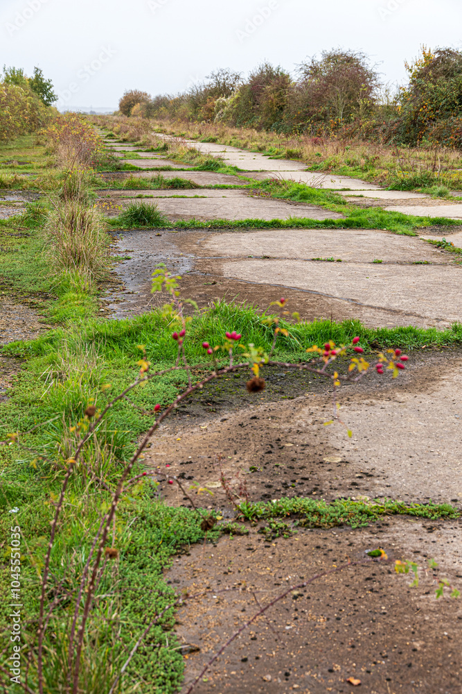 The remains of the concrete runway of the Second World War airfield of RAF Broadwell near the village of Kencot, Oxfordshire, England UK