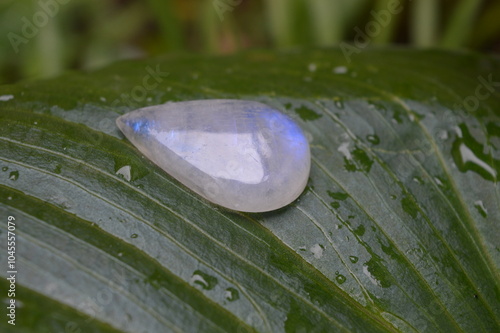 Moonstone mineral gem on green background 