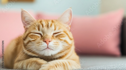 A relaxed orange tabby cat with shut eyes lies comfortably on a surface, surrounded by soft pillows, radiating contentment.