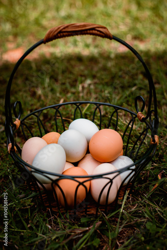 A basket of multi-colored eggs