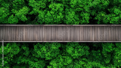 Wallpaper Mural Wooden Pathway Through Lush Green Forest Torontodigital.ca