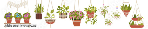 A set of hanging plants in flat style in macrame pots.