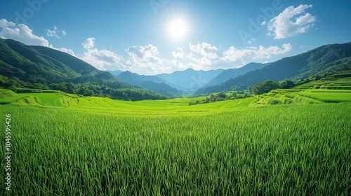 vibrant green rice field stretching endlessly towards the horizon under a clear blue sky evoking feelings of tranquility and abundance showcasing the beauty of natures bounty