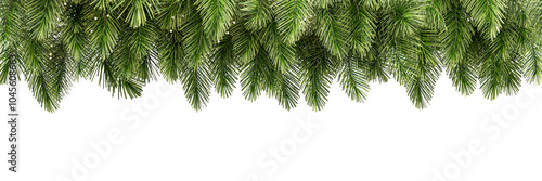  Close up border of green christmas tree decoration isolated on white