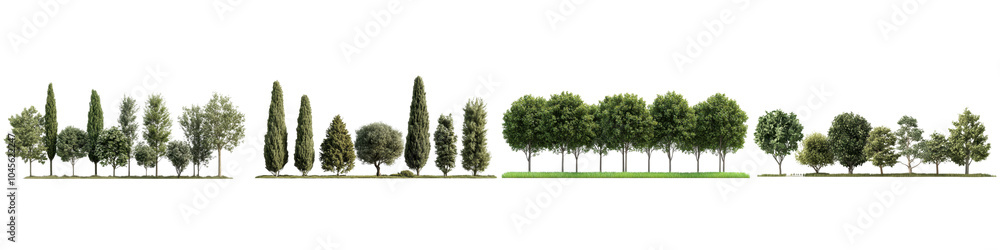 Obraz premium Row of Green Trees in Perspective