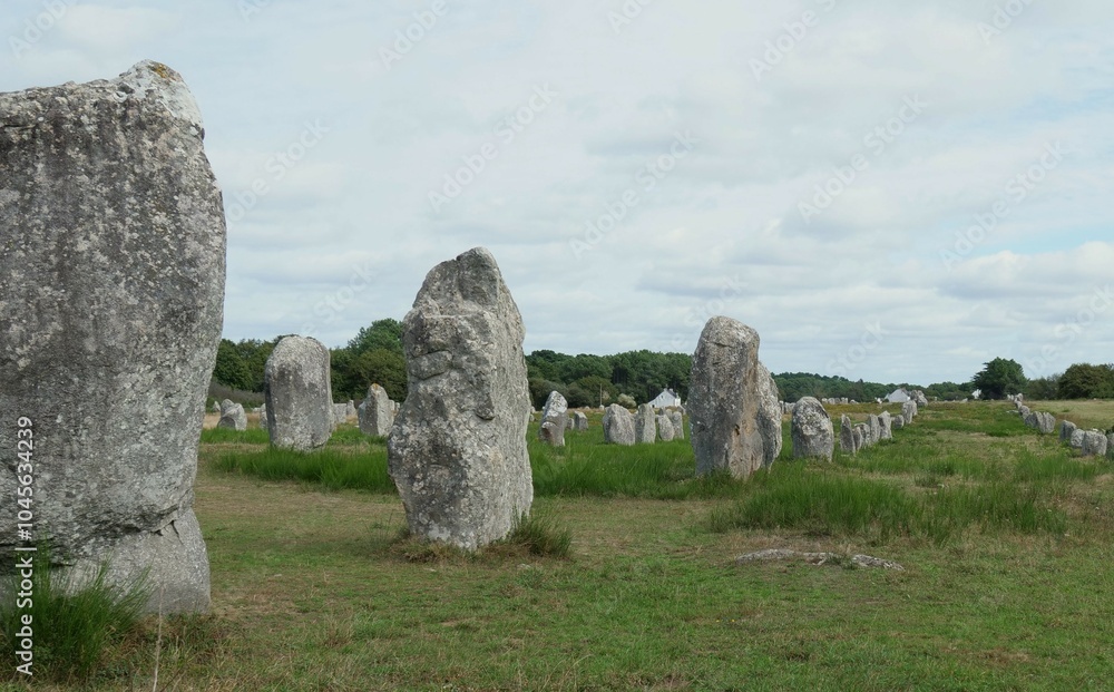 Rows of menhirs. The meaning is unknown, but the cultic or calendaric significance in the Neolithic period. Unfortunately, the historical unity is being disturbed by a modern houses, in Carnac France Rows of menhirs. The meaning is unknown, but the cultic or calendaric significance in the Neolithic period. Unfortunately, the historical unity is being disturbed by a modern houses, in Carnac France
