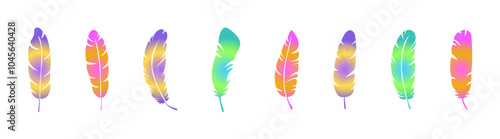 Rainbow feathers collection, set of colorfull feathers, set of bird feathers design. Boho style, vector painting
