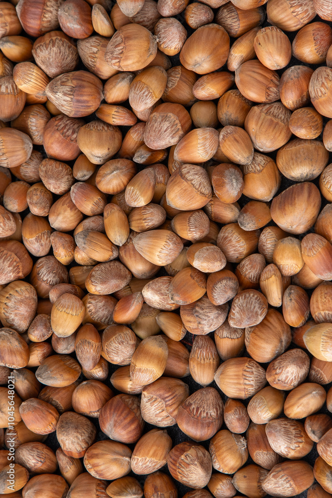 Nuts background. Hazelnut food. Kernel raw seed. Hazel nut Nuts background. Hazelnut food. Kernel raw seed. Hazel nut