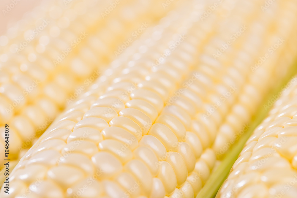 Fresh raw corn cob pattern close up Fresh raw corn cob pattern close up