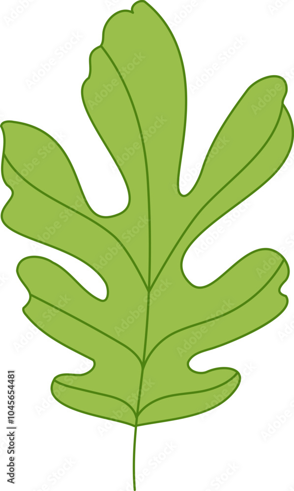 simple illustration of leaf simple illustration of leaf