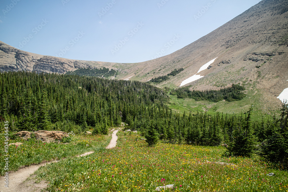 Fototapeta premium Siyeh bend from the Siyeh Pass Trail at Glacier national park, Montana, USA.