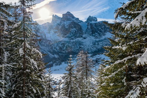 View through the forest towards the Sella group mountain while hiking above the village Colfosco in the Dolomites in winter