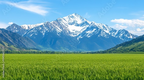 Breathtaking mountain view with snow-capped peaks and lush green fields under a clear blue sky, perfect for nature lovers.