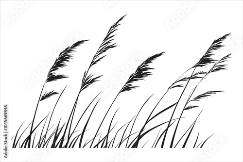 Natural Grass Silhouette Vector Graphic