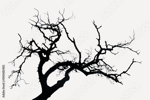 Silhouette of barren tree