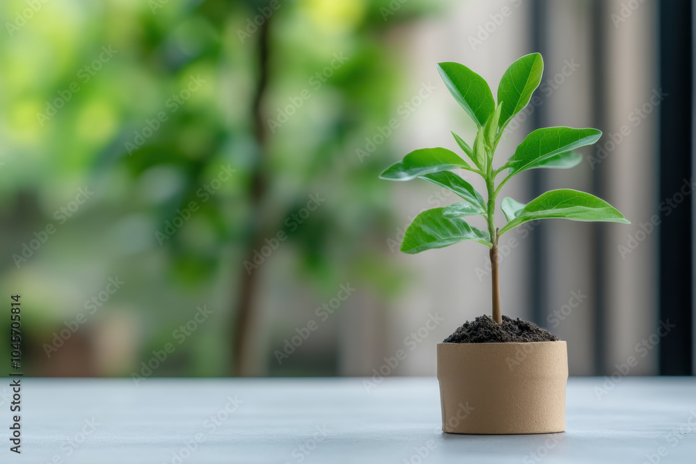 small green plant in brown pot symbolizes growth and renewal, set against blurred background of lush foliage. This captures essence of nature and vitality small green plant in brown pot symbolizes growth and renewal, set against blurred background of lush foliage. This captures essence of nature and vitality