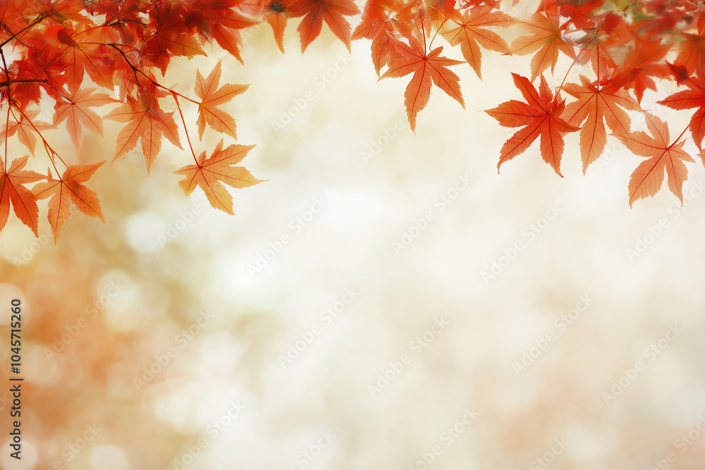 Beautiful red maple leaves framed against a soft, blurred autumn background Beautiful red maple leaves framed against a soft, blurred autumn background