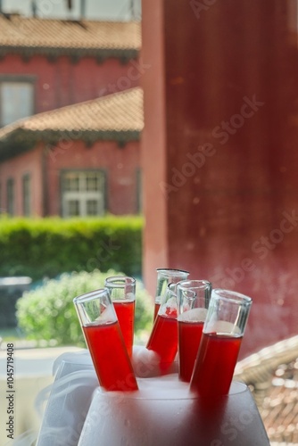 Red Cocktail in Test Tubes with Dry Ice Smoke photo