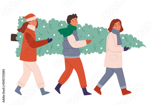 Three friends carry a Christmas tree.Cheerful friends, man and women, in festive outdoor clothes carry a big Christmas tree and communicate. People are preparing for Christmas.