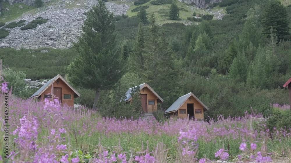wooden house in the mountains wooden house in the mountains
