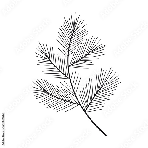branch of fir or pine tree as a decorative element for Christmas and New Year. vector illustration
