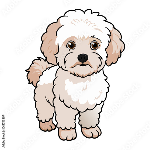 Bichon Frisé Dog breed vector illustration isolated on white background in cartoon style.