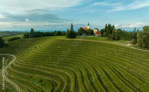 vineyard with terraced rows of vines, a quaint church in Jeruzalem on east of Slovenia photo